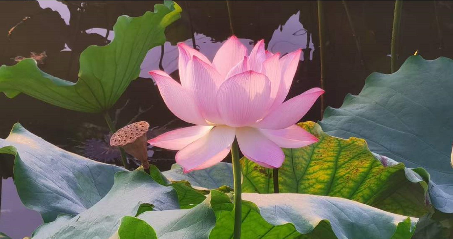 我可以完成一张年终总结单页海报的设计  • 我可以完成500字的知乎/微博等渠道的产品宣传文案的编写