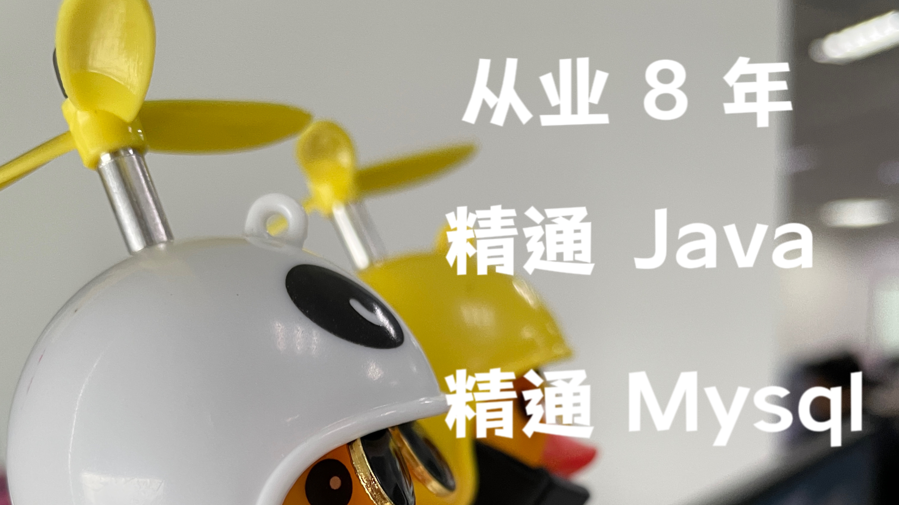 我可以完成一个项目后段代码的编写，以及相应的接口文档和数据结构文档的编写