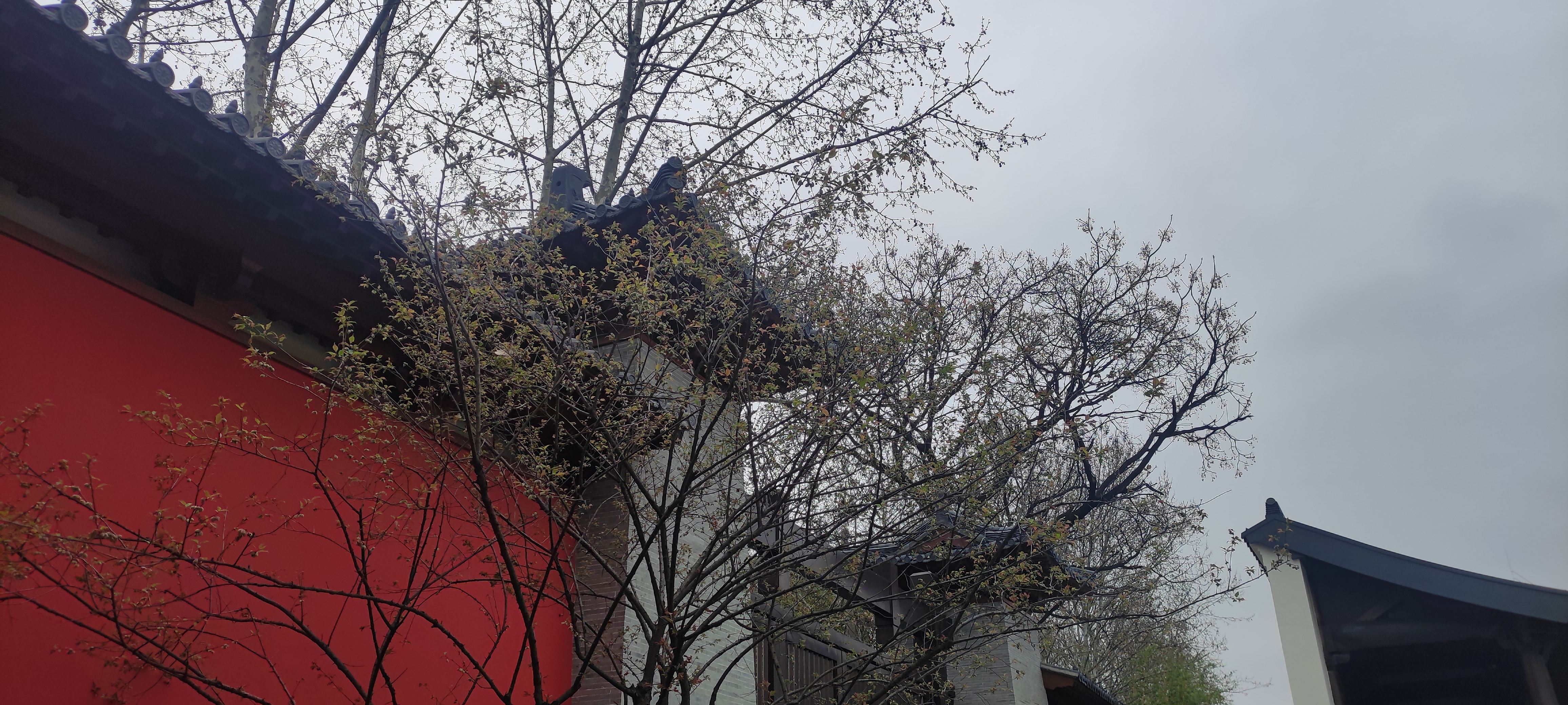 我可以远程在线客服任意12小时