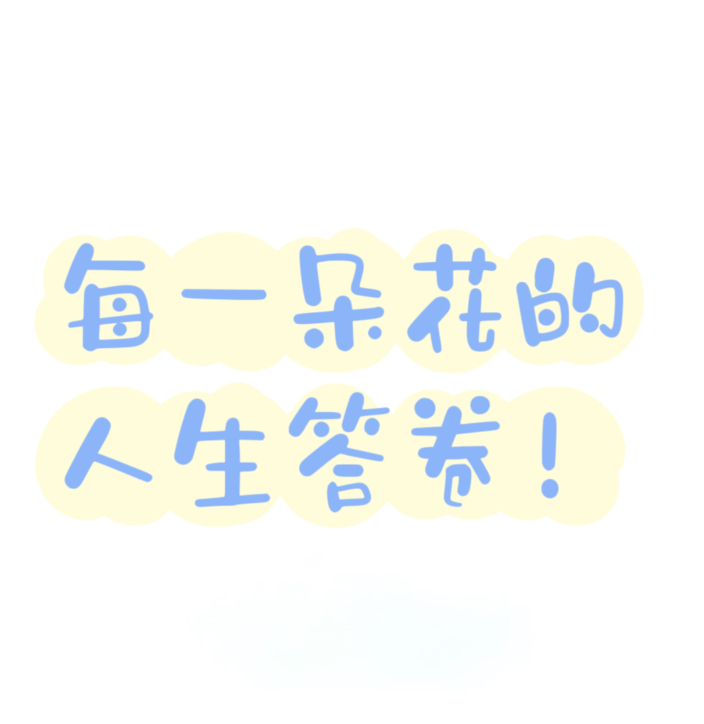 我可以解决xiao3⃣️方案