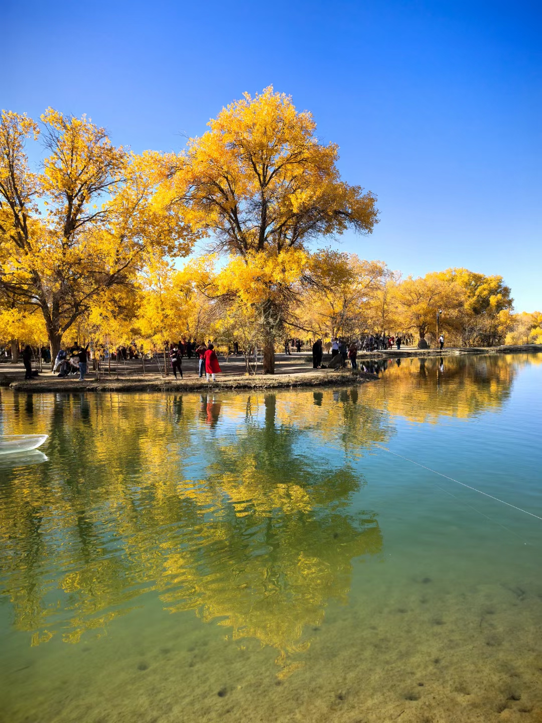 我可以做视频剪辑，根据脚本要求制作视频，15-60秒视频，500-1000字文章。