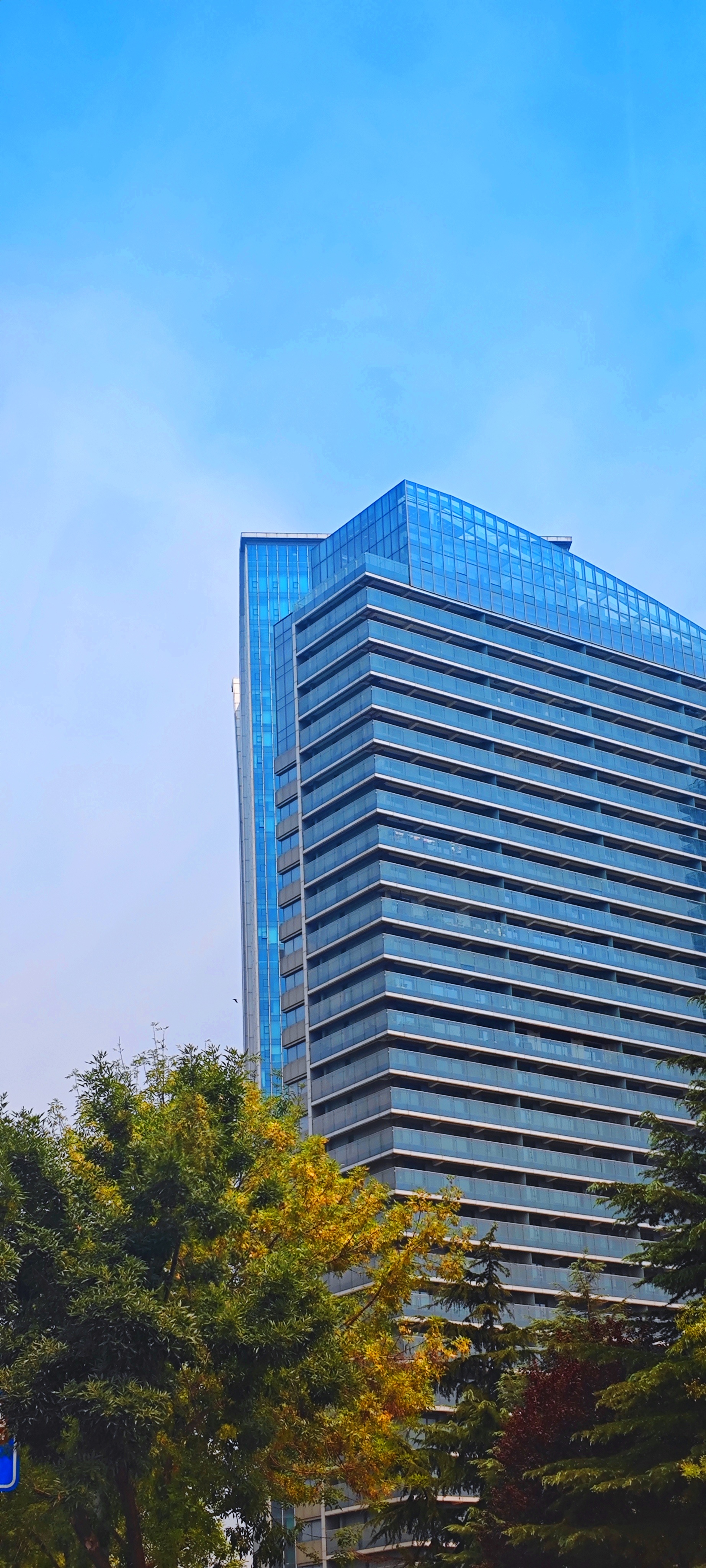 我可以提供技术三天完成建筑招投标和七天的工程预结算。专业是土建，安装，装饰装修，钢结构