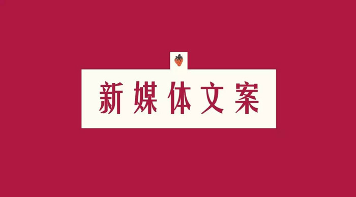 我可以完成一篇产品的推广文案