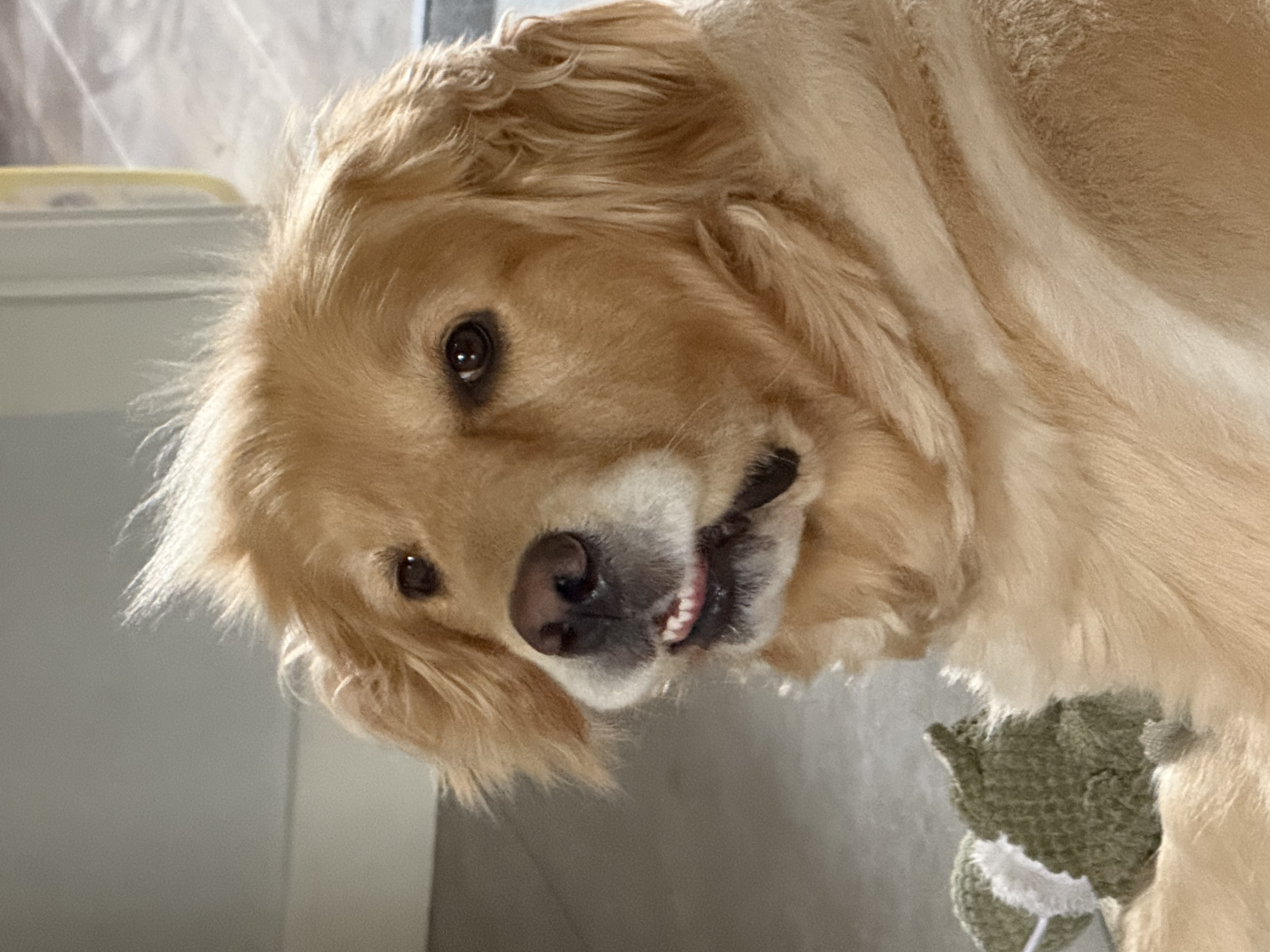 我可以修改Android app的一个bug