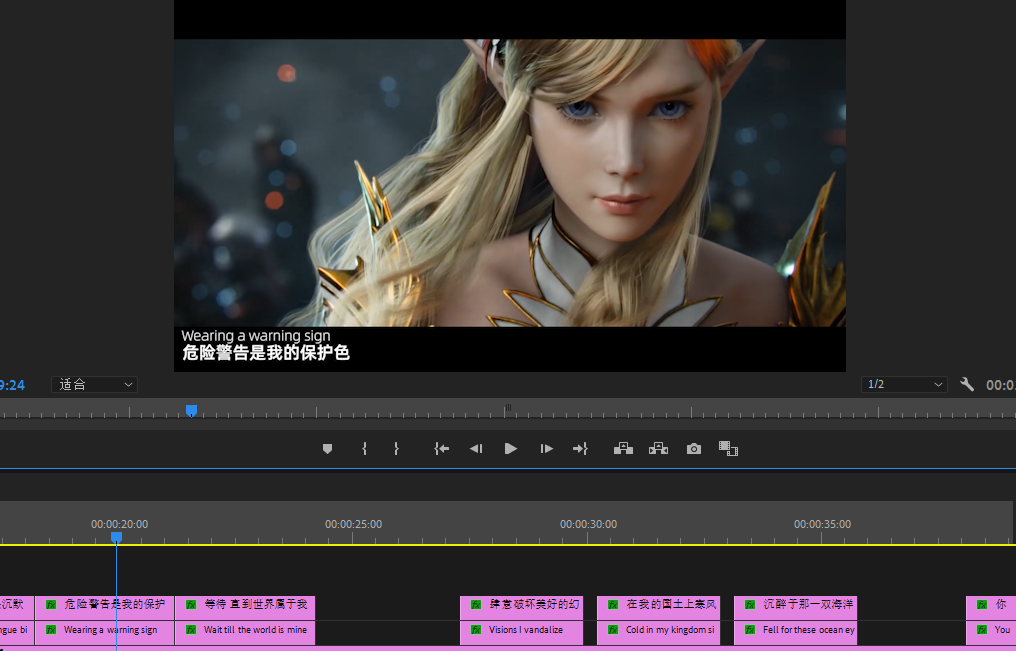 我可以做1小时的字幕校对