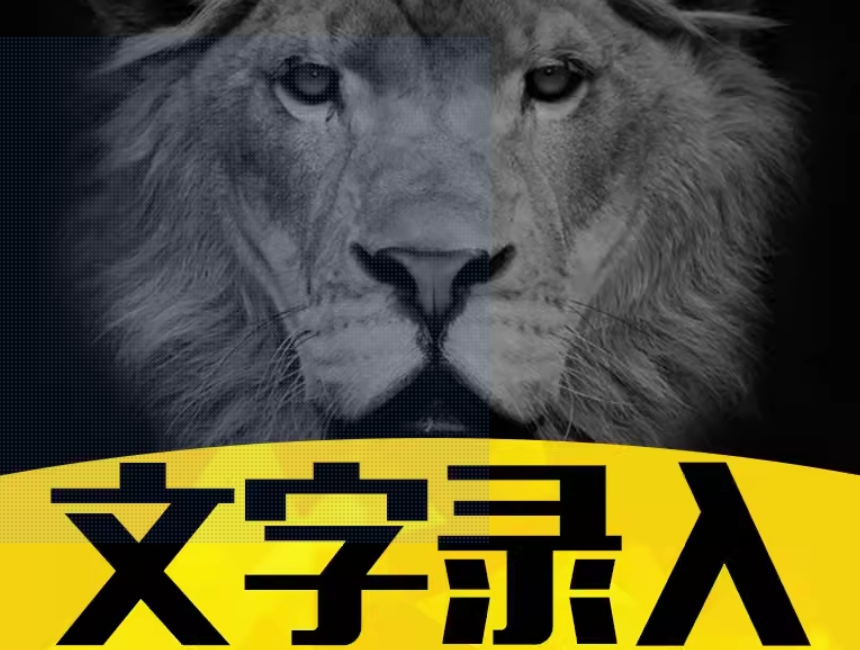 我可以快速校队文字对错并进行录入5000+