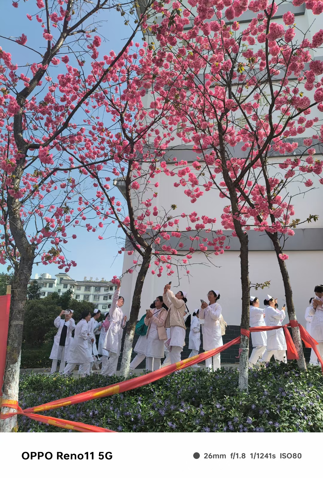 我可以我有高级心理咨询师证，以帮助86人解决情感纠纷问题