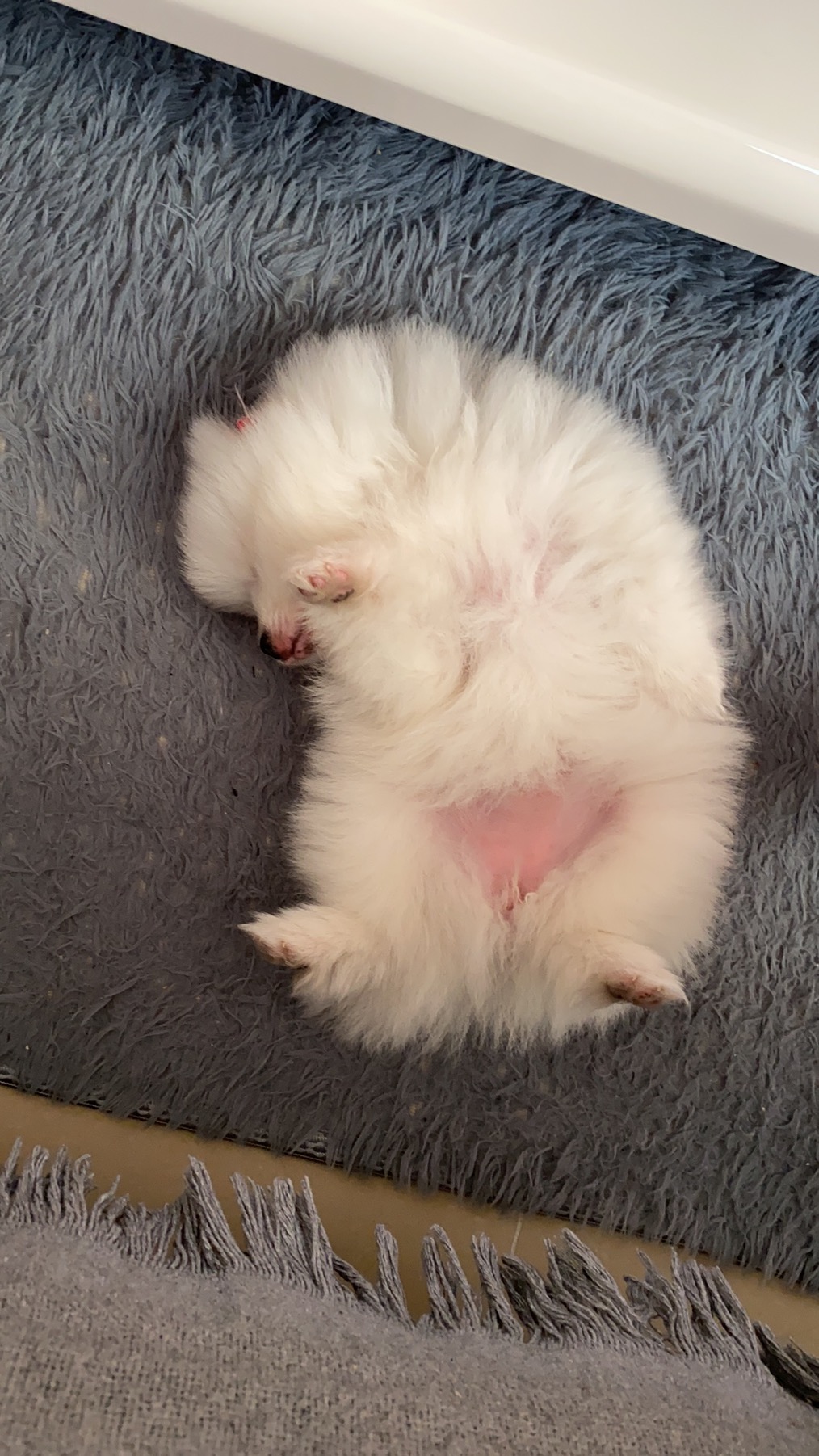 我可以王者荣耀呀1