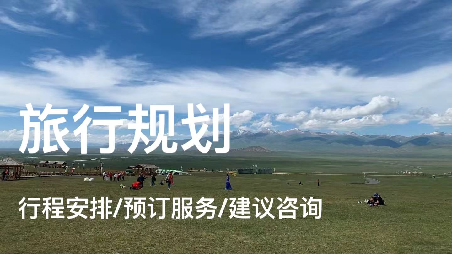 我可以为想要自由出行的你，定制一份完美的出行计划