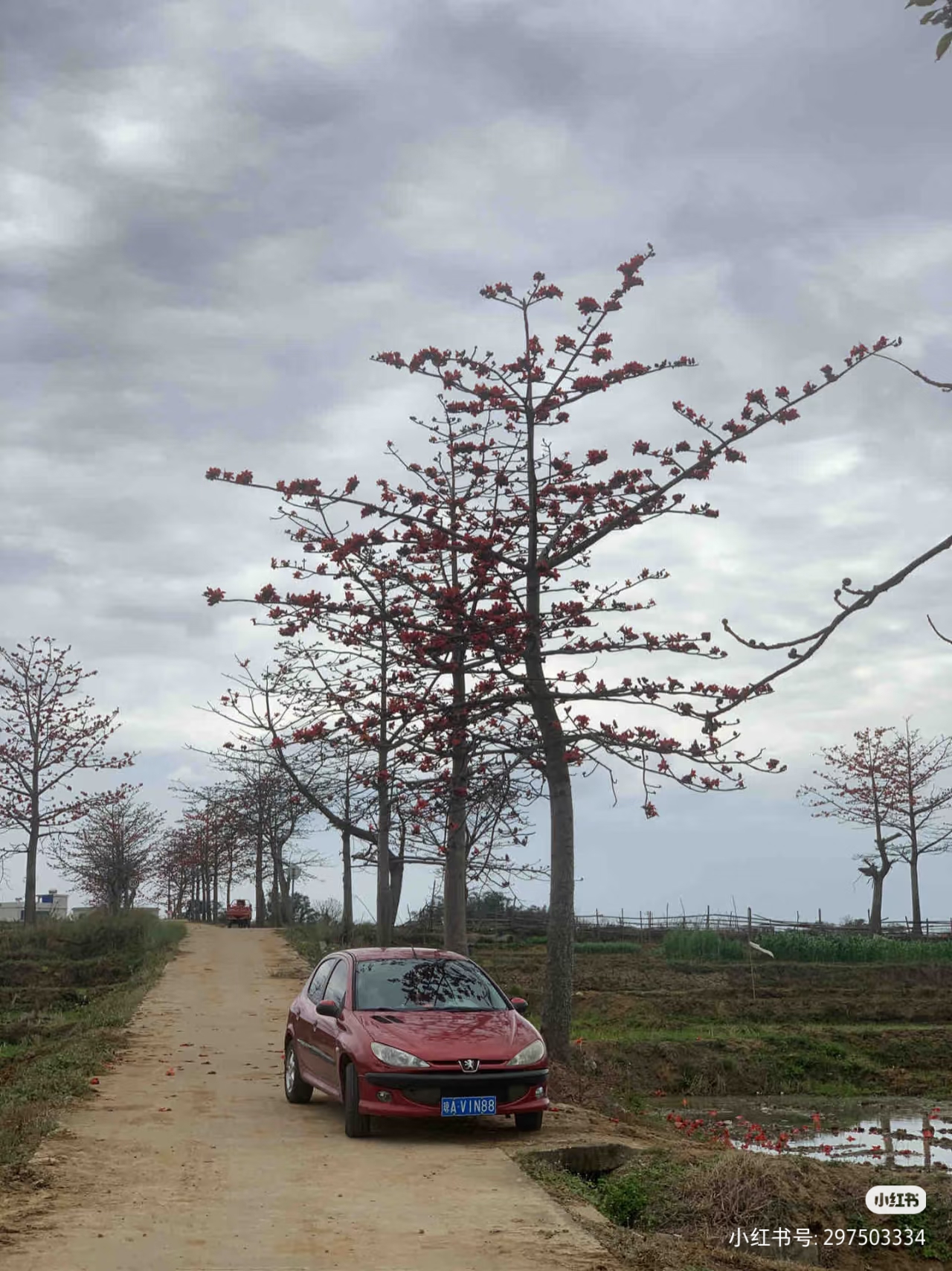 我可以高效完成1个oa项目管理和数据分析，工作流清洗。