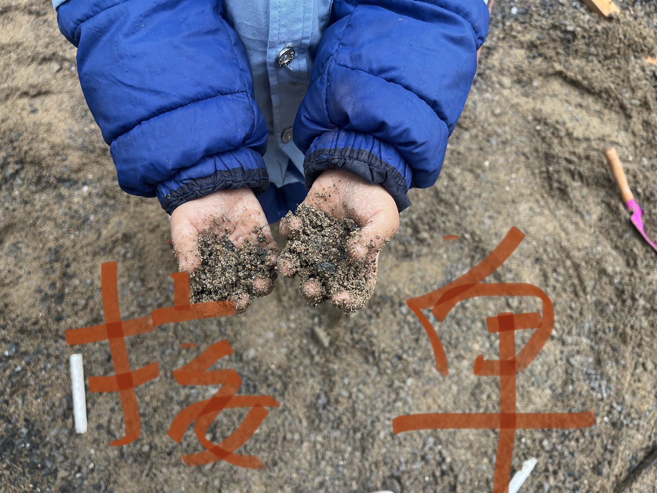 我可以提供30分钟产品咨询（教育、金融科技、跨境电商）