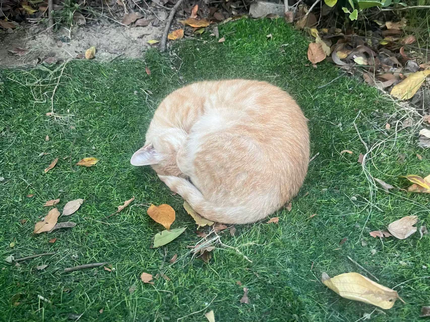 我可以完成30分钟的跨境支付产品架构咨询