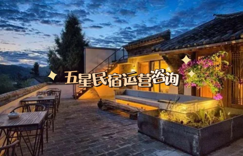 我可以做一次民宿业务咨询