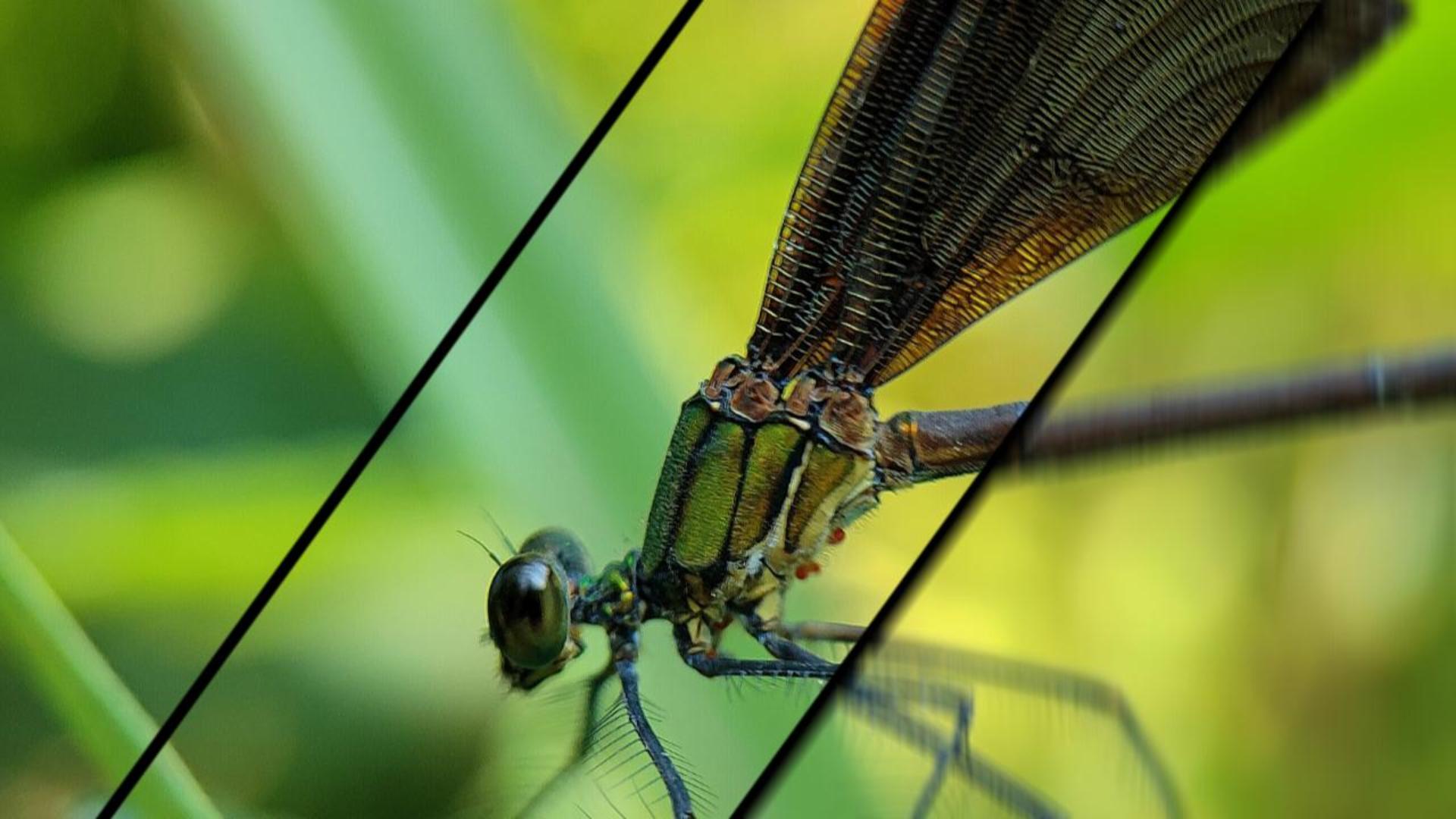 我可以宣传视频制作3-5分钟