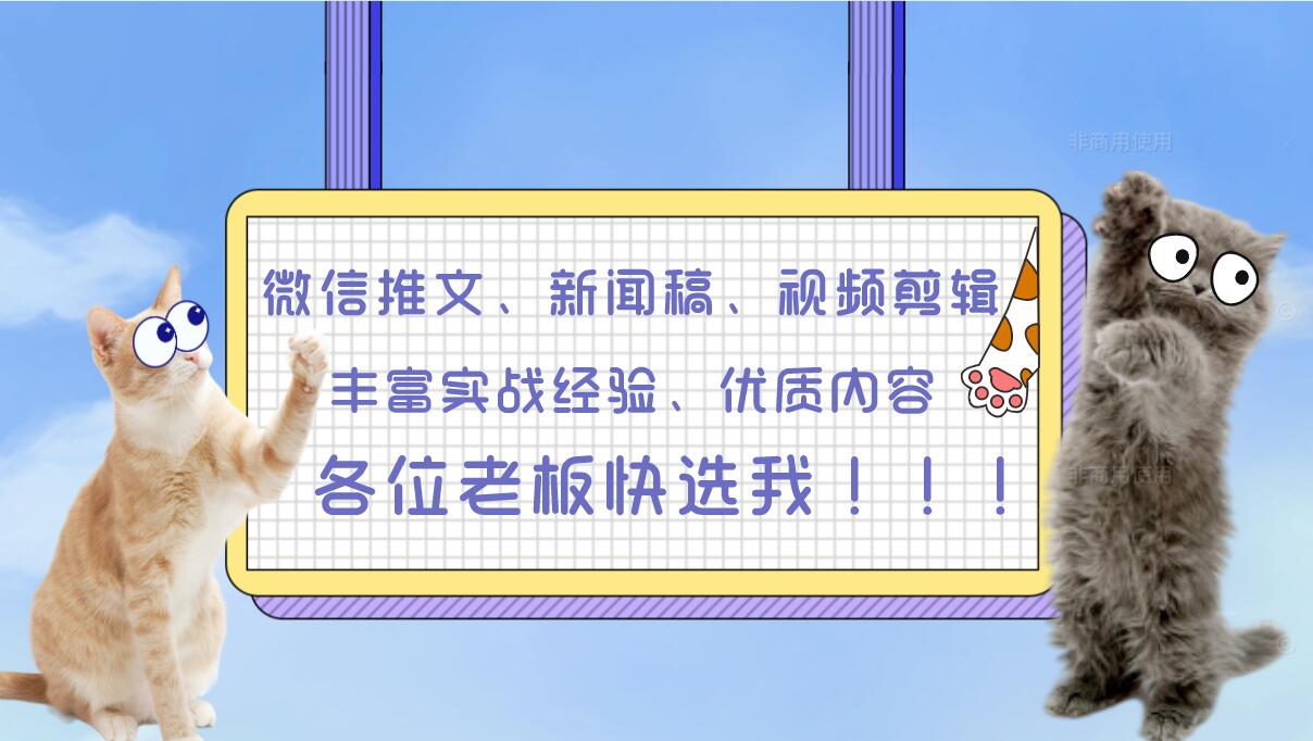 我可以1000新闻稿、1000微信推文、15视频剪辑