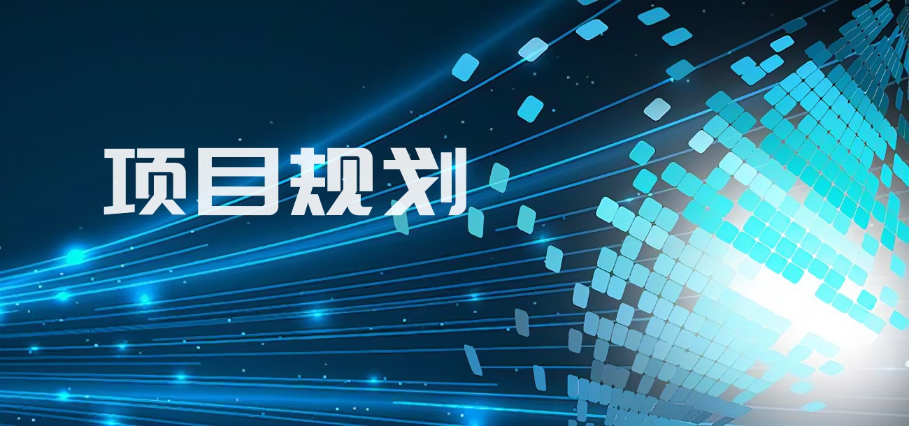 我可以项目规划等相关的技术完整1个项目