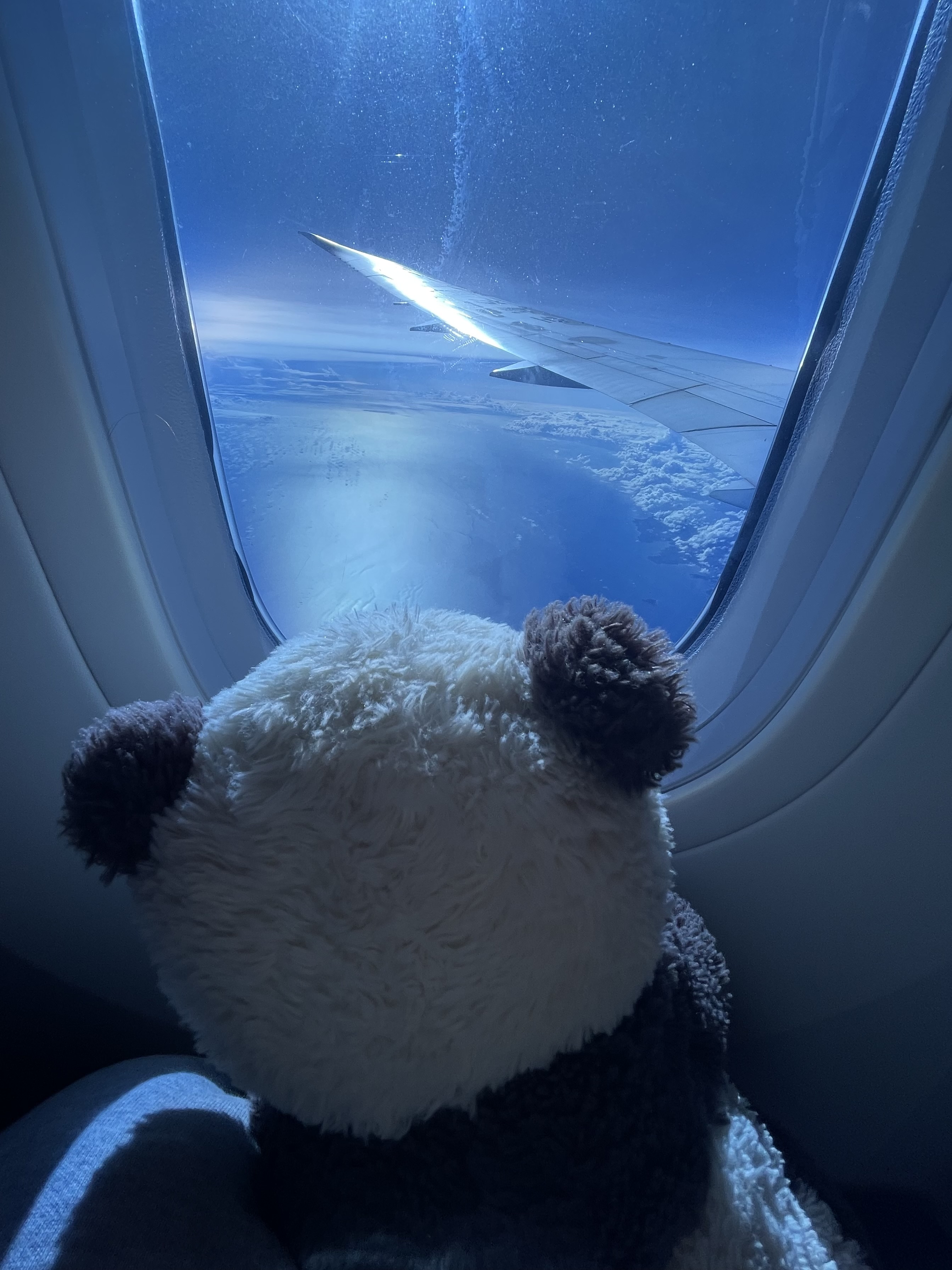 我可以剪辑1分钟内的视频