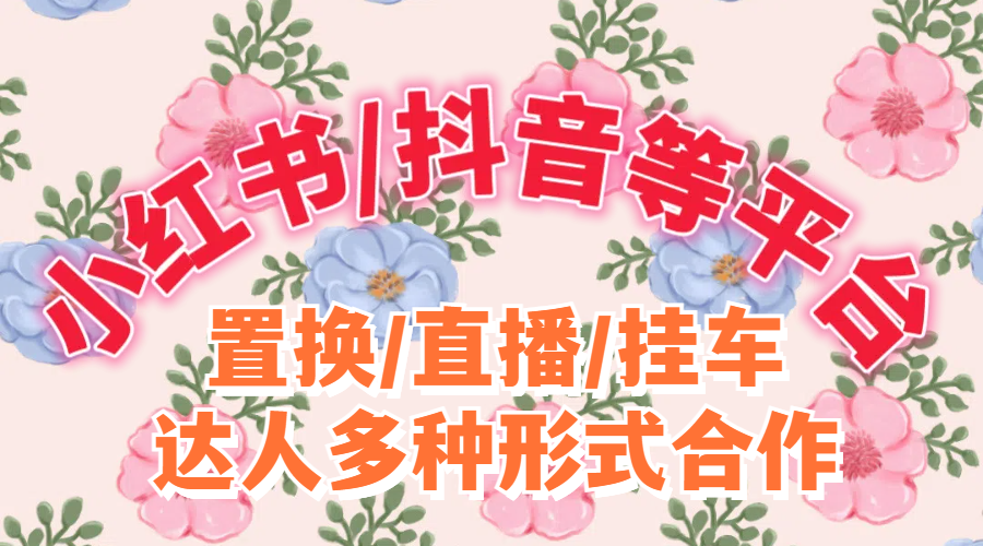 我可以制定推⼴策略及 KOL 组合投放，从0-1搭建置换+付费投放矩阵，已合作4000+达人