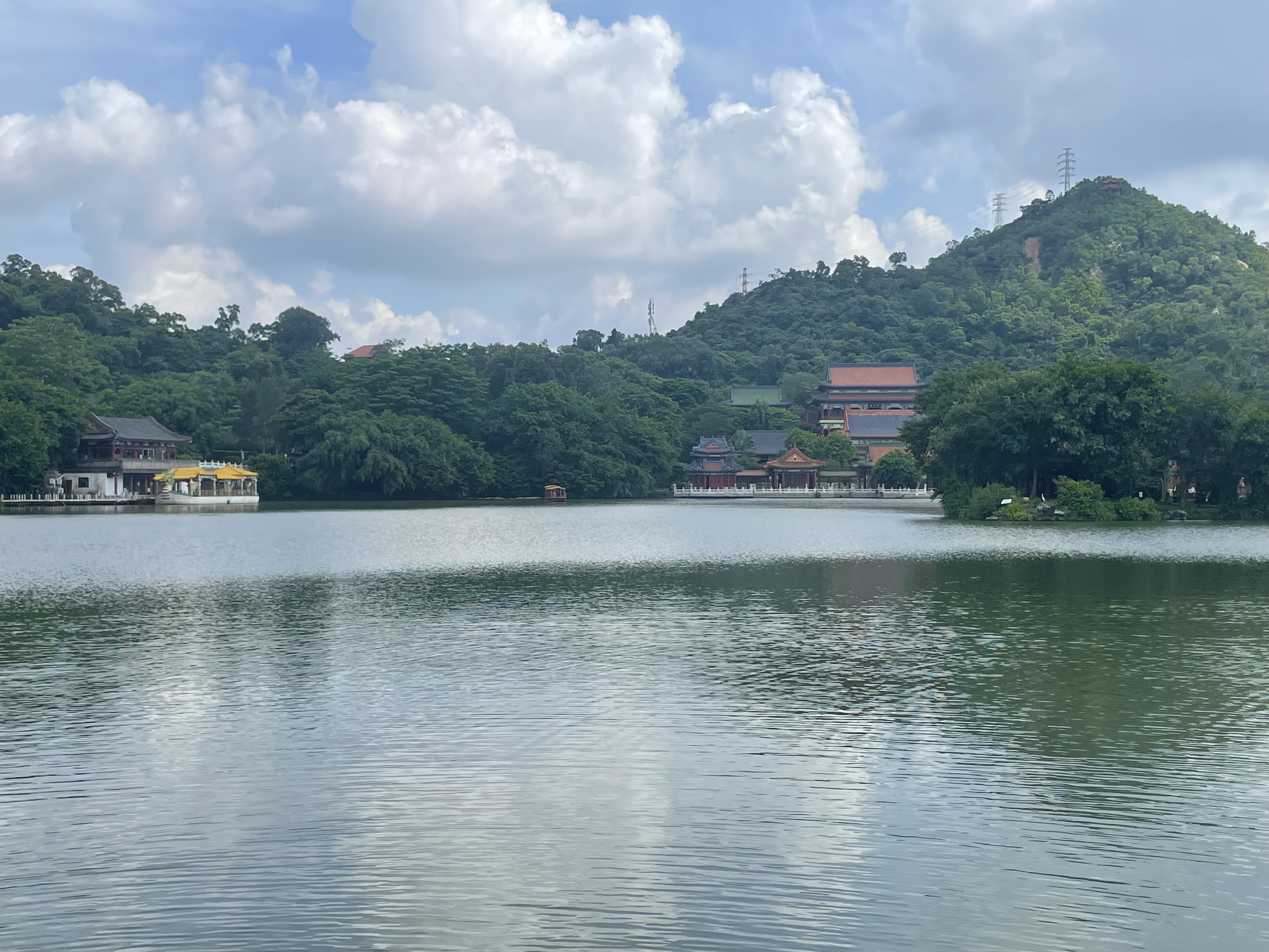 我可以打字快 速度快 500字文章