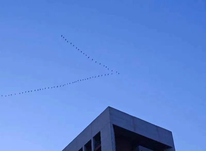 我可以中法互译1份文件