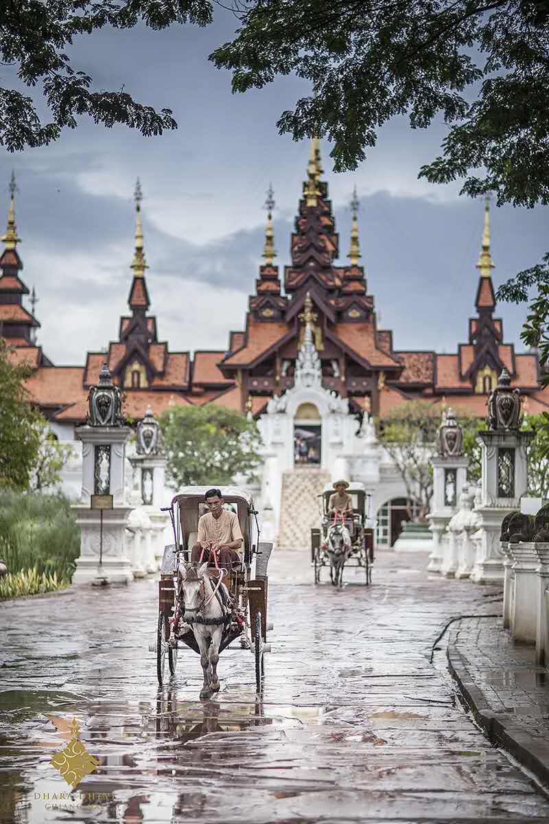 我可以帮您策划一场目的地的深度旅行