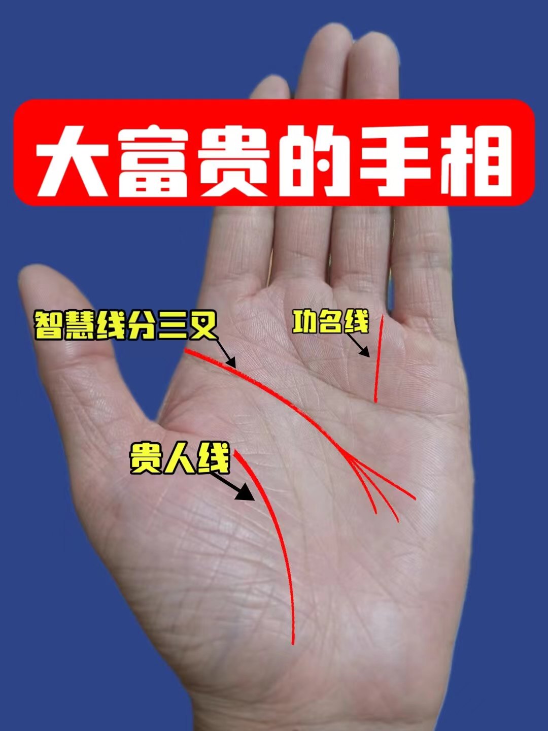 我可以1分钟看手相（生命线的长短、智慧线的弧度、感情线的走向）