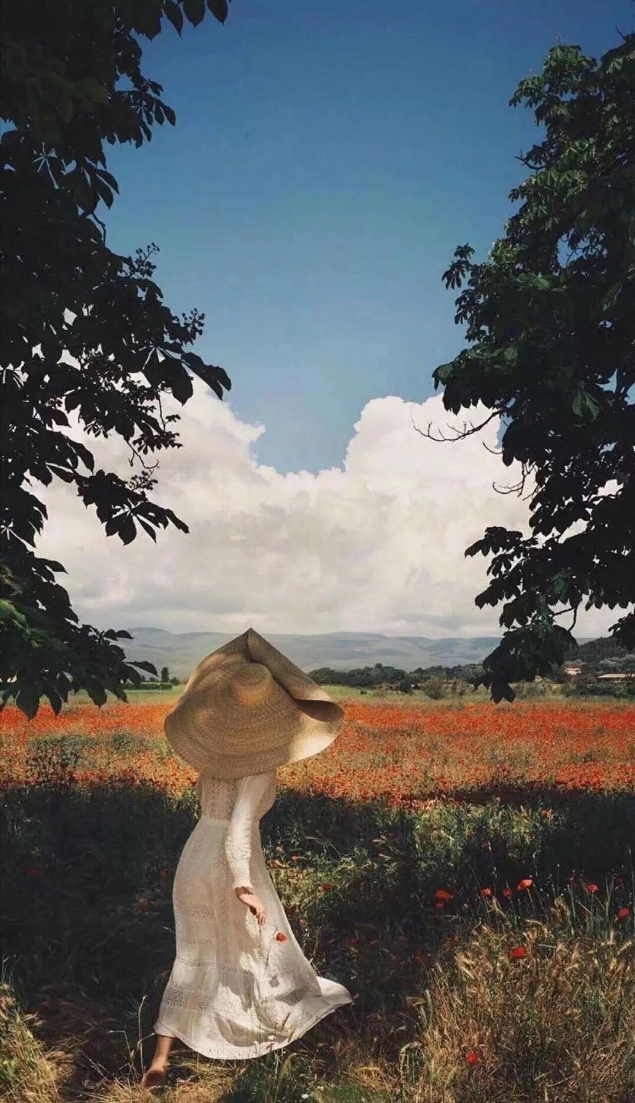 我可以翻译法语书籍500字