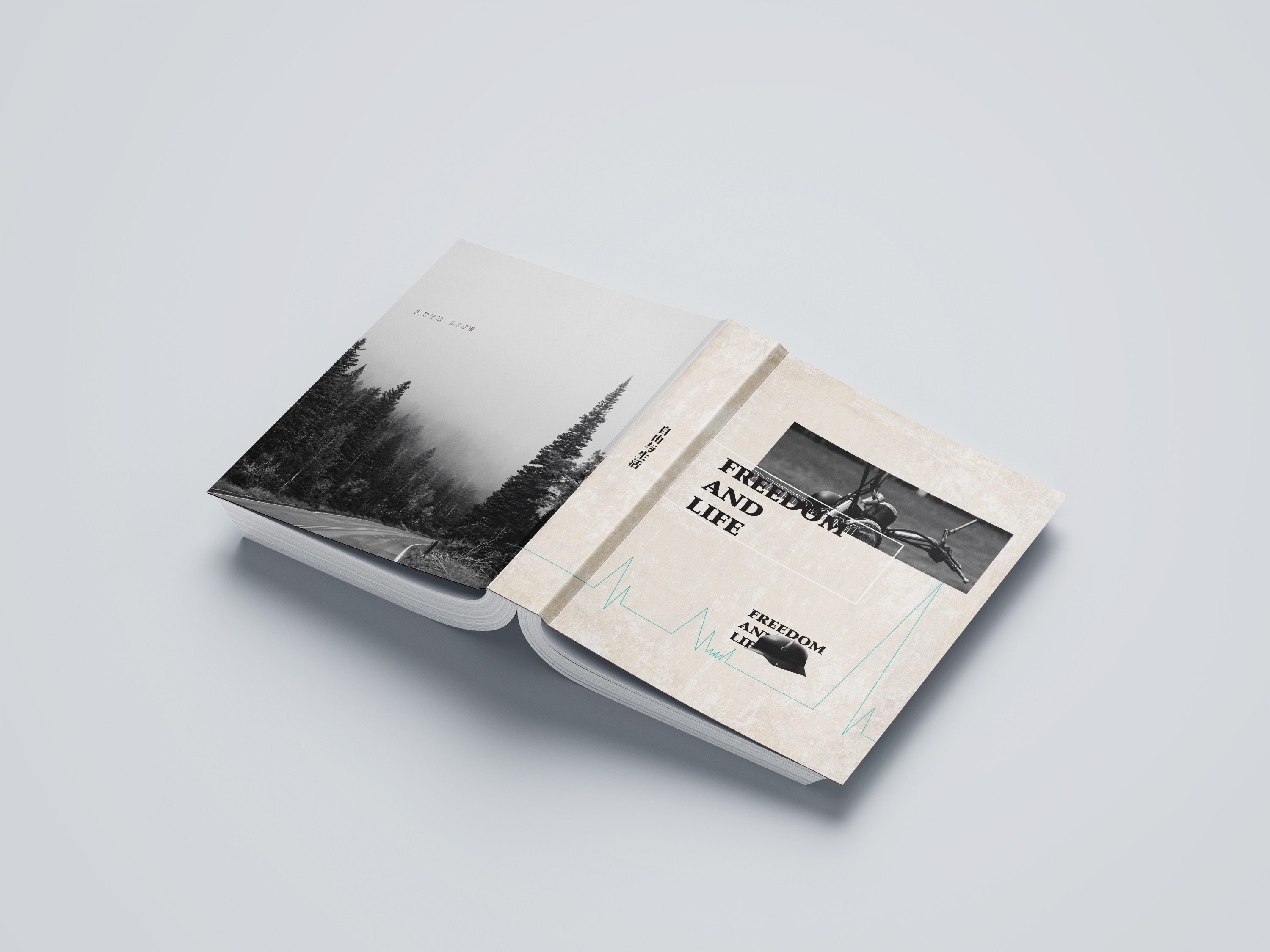 我可以做一本画册一张海报一份宣传单