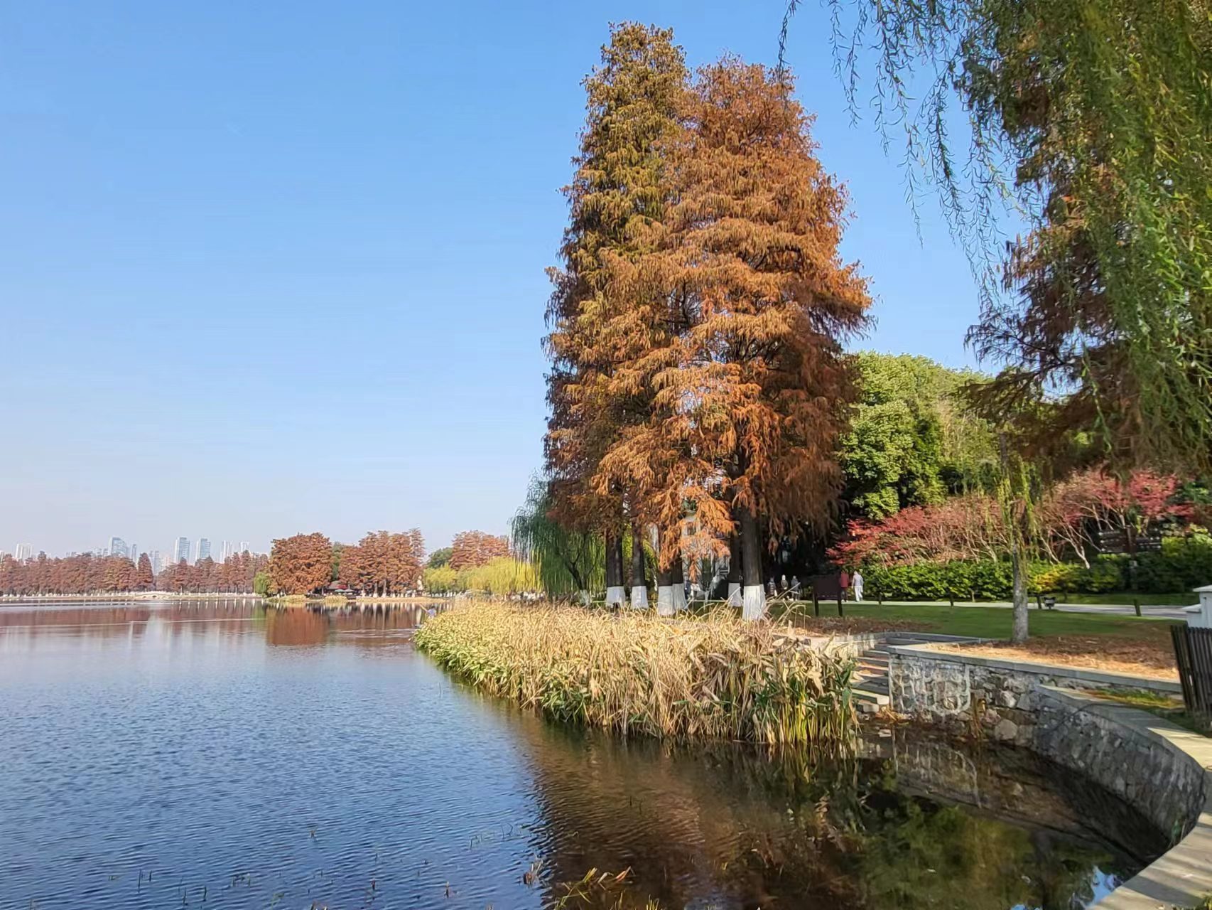 我可以完成1套软件平台原型设计