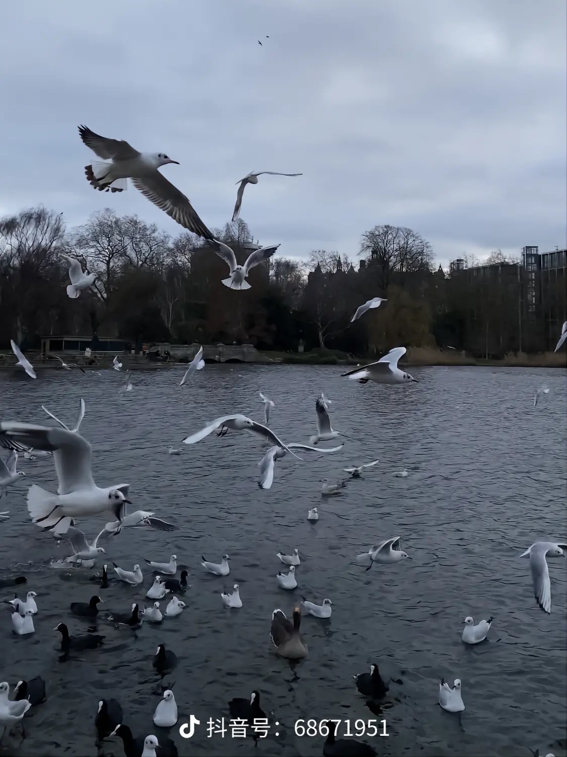 我可以20秒的都可以剪辑