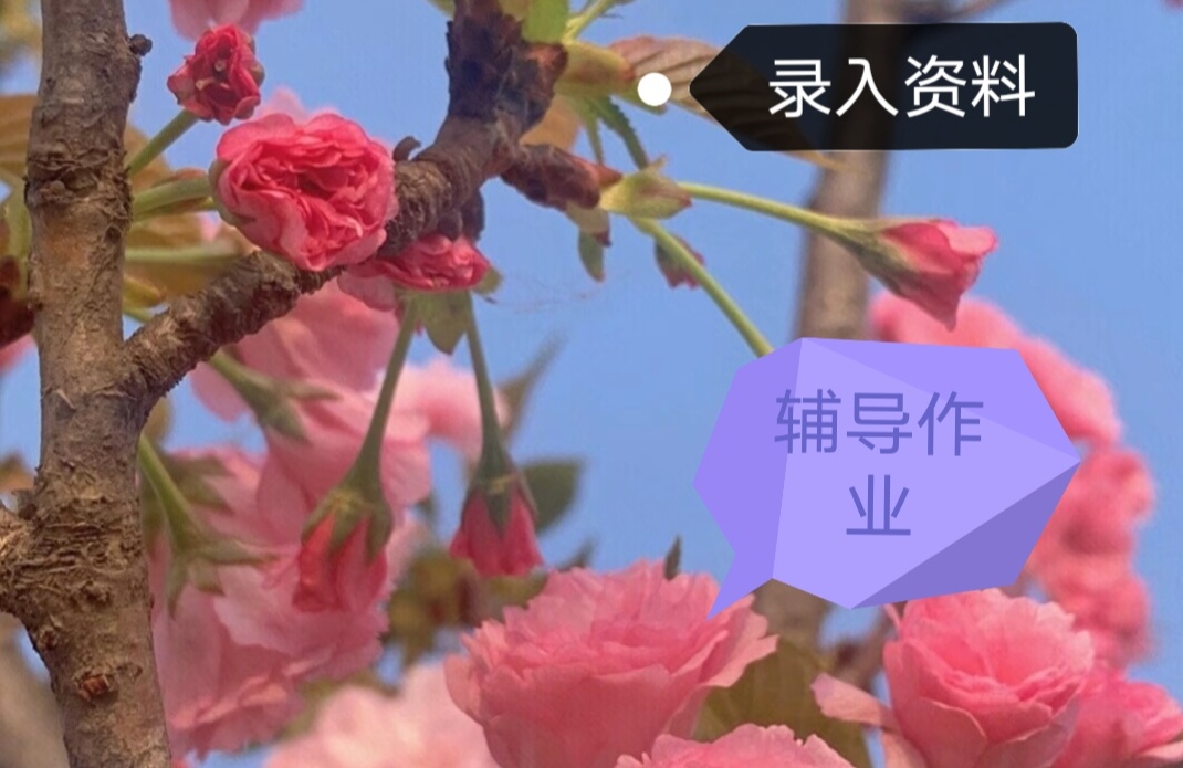 我可以辅导一到三年级的作业，也可以录入资料小说等，还可以写小文章