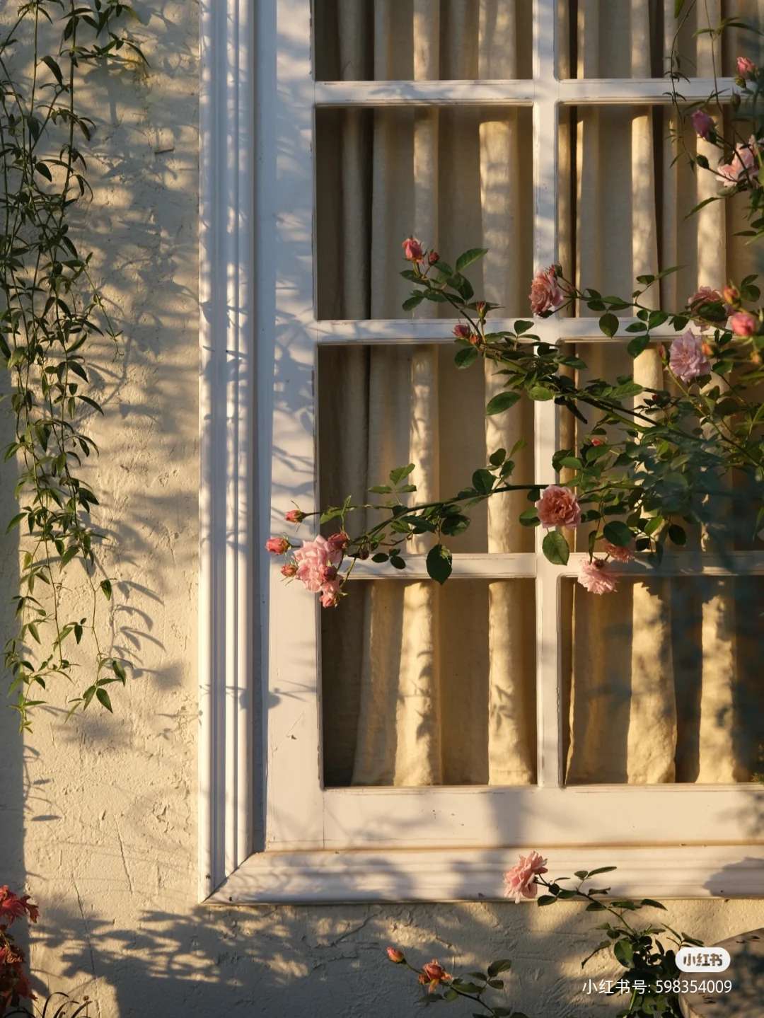 我可以早中晚叫醒一次