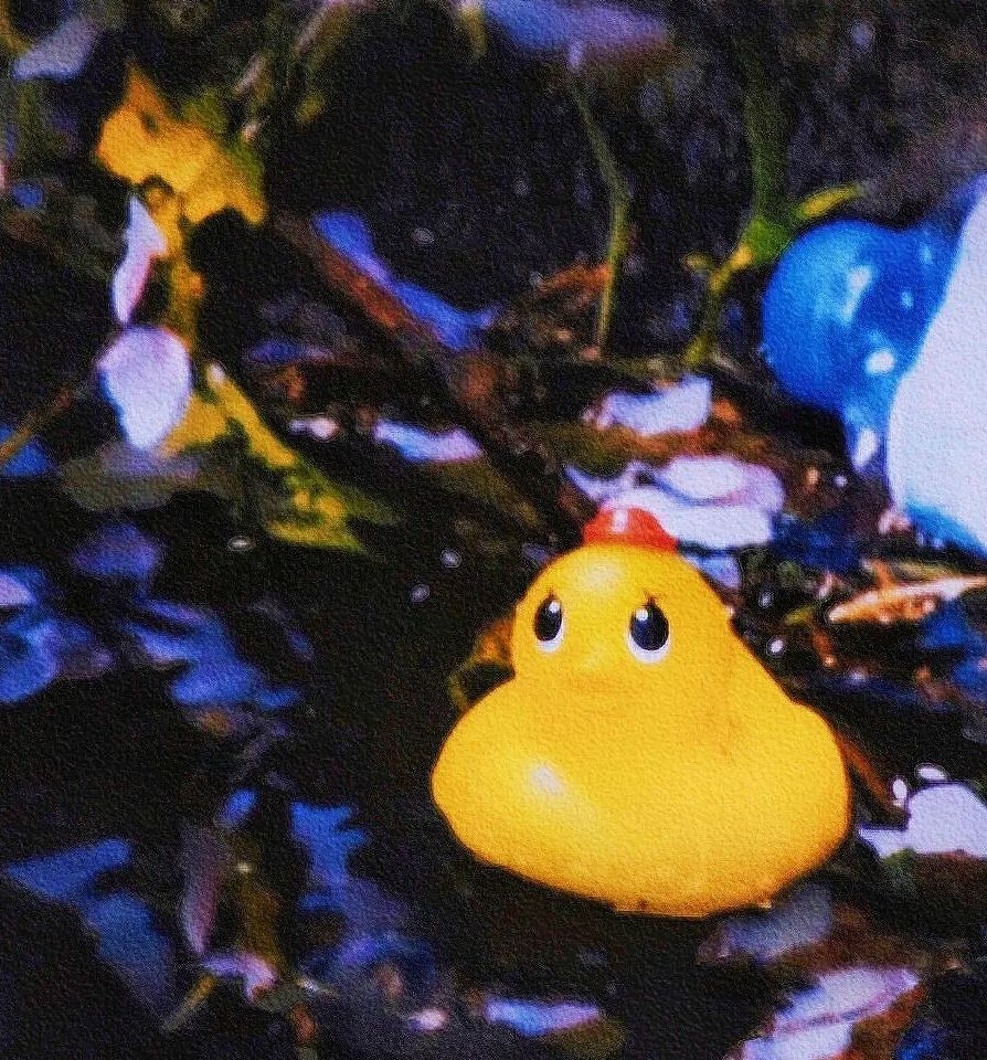 我可以替你传达一次你的爱意