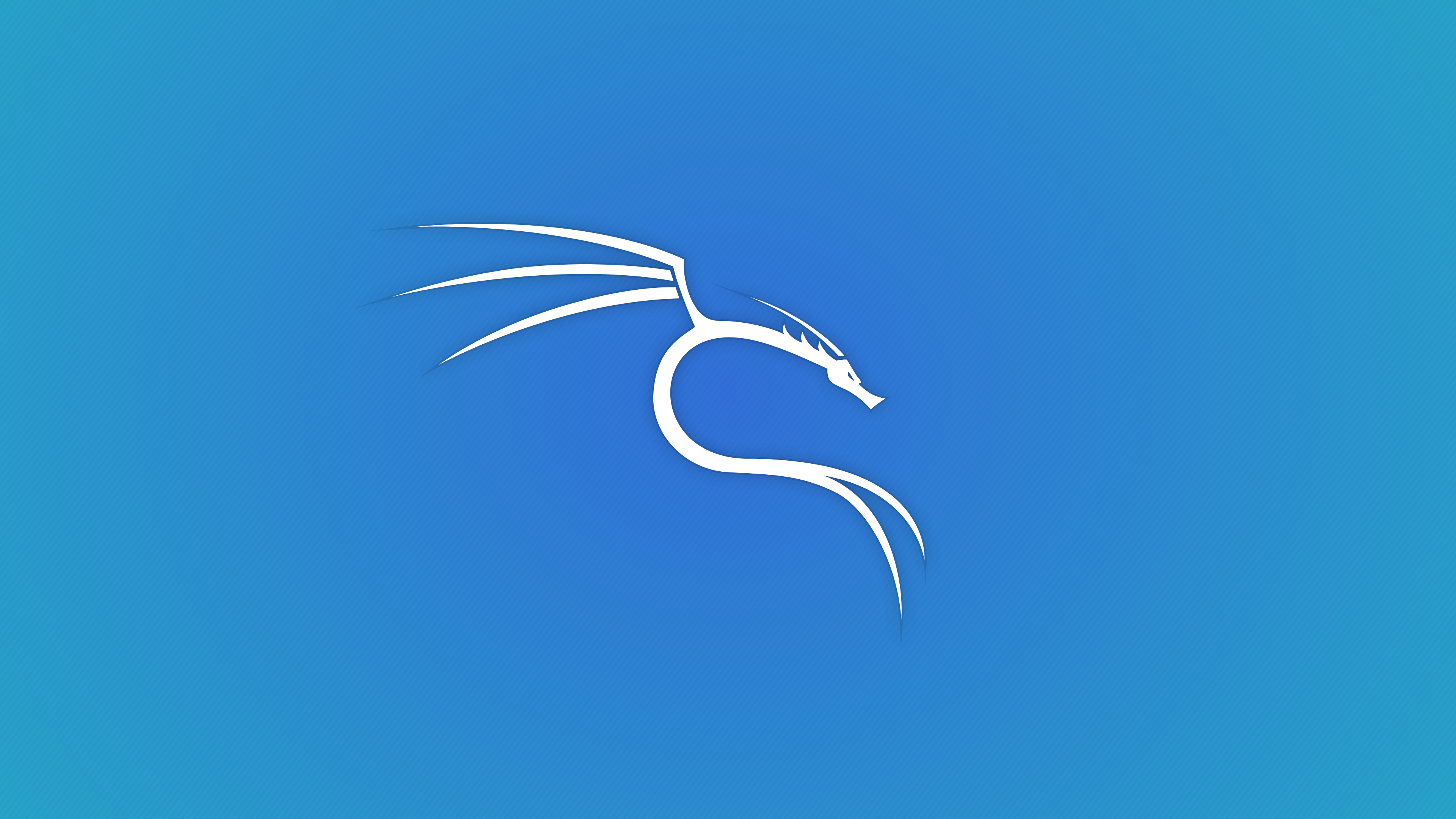 我可以完成一个linux系统的安装和软件部署，2小时内完成。