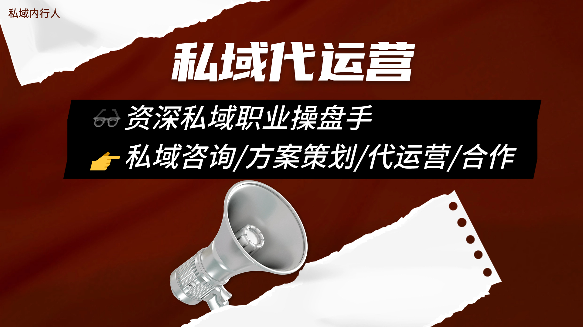 我可以私域代运营/实操陪跑  1000/月
