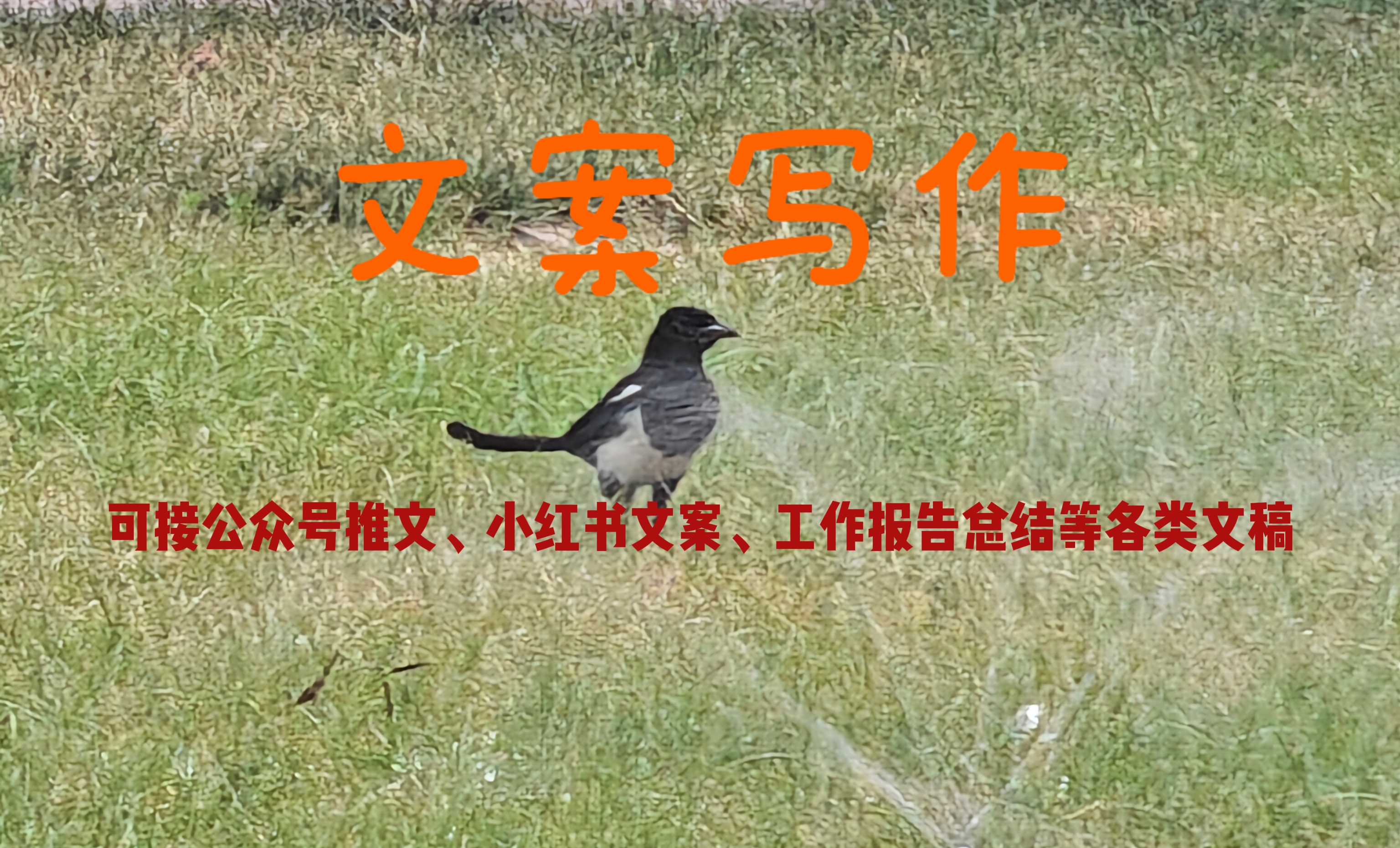 我可以在限定时间内完成1000字文章创作