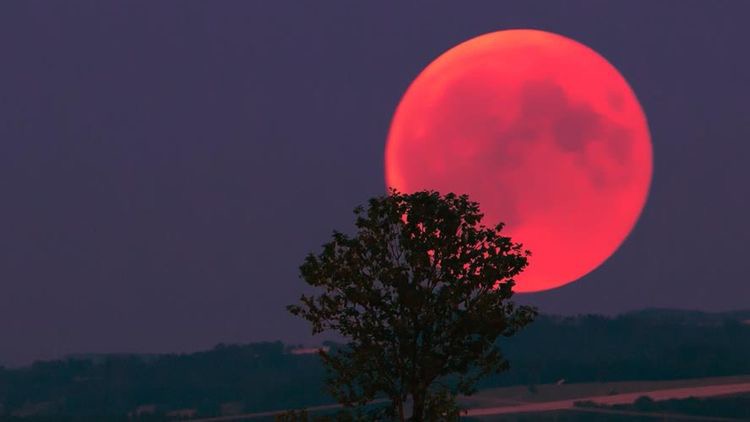 我可以运营一个公众号