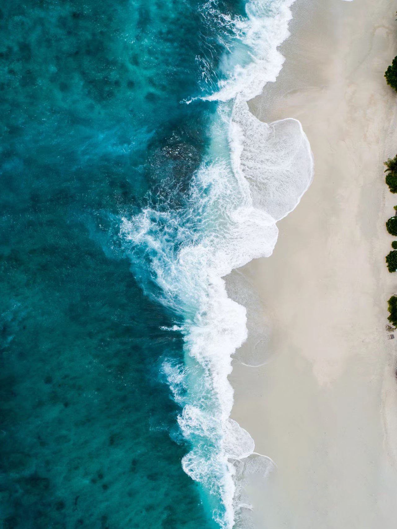 我可以cad 0.5元/㎡ 画建筑平面图一张，200元可出室内平面设计图一张