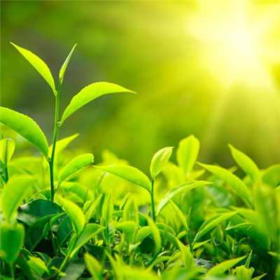 我可以1、出具资金收支报表、数据核对2、记账凭证、明细账、财务报表 、合并报表、纳税申报、税务筹划