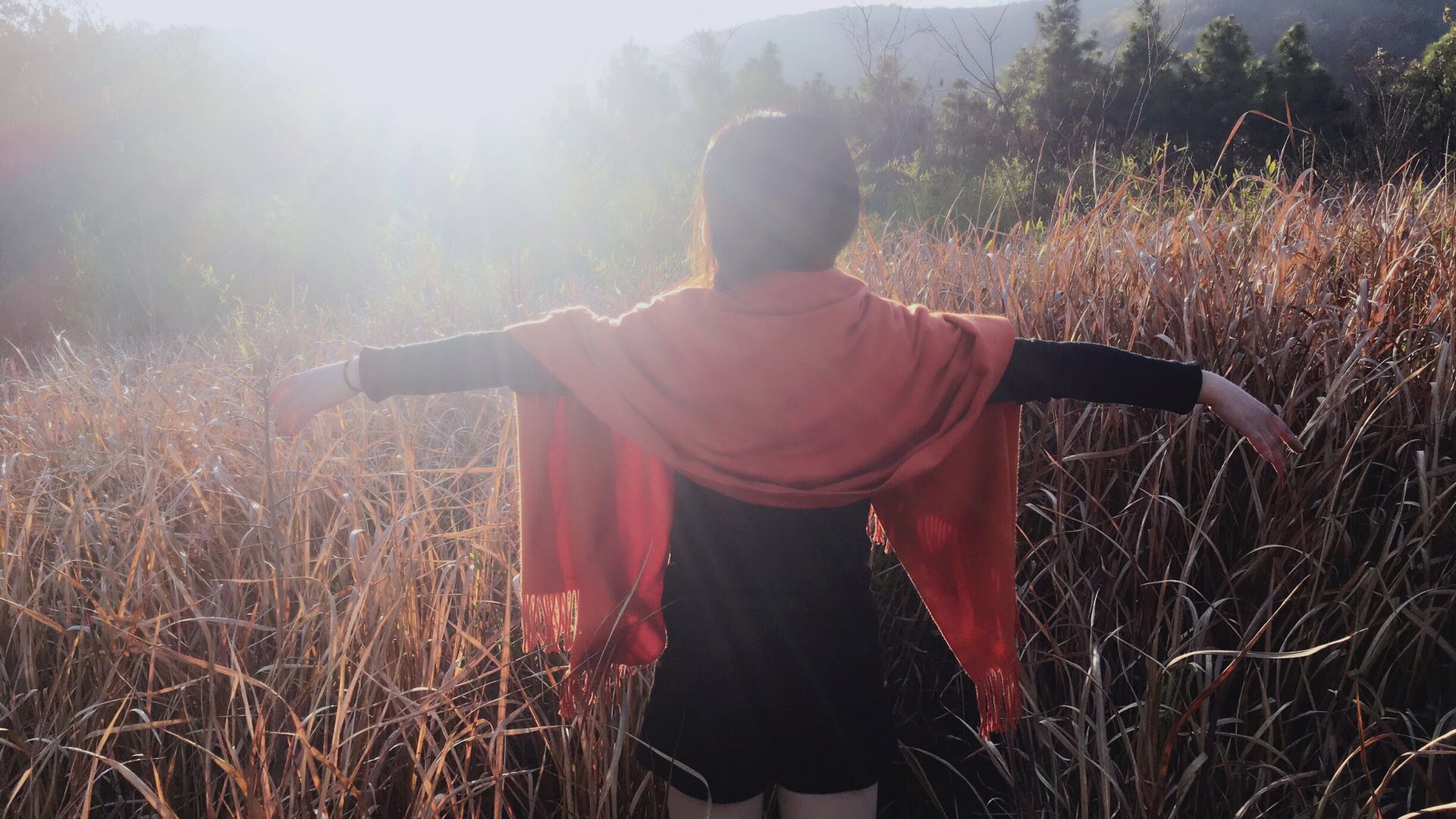 我可以15秒视频500字文章