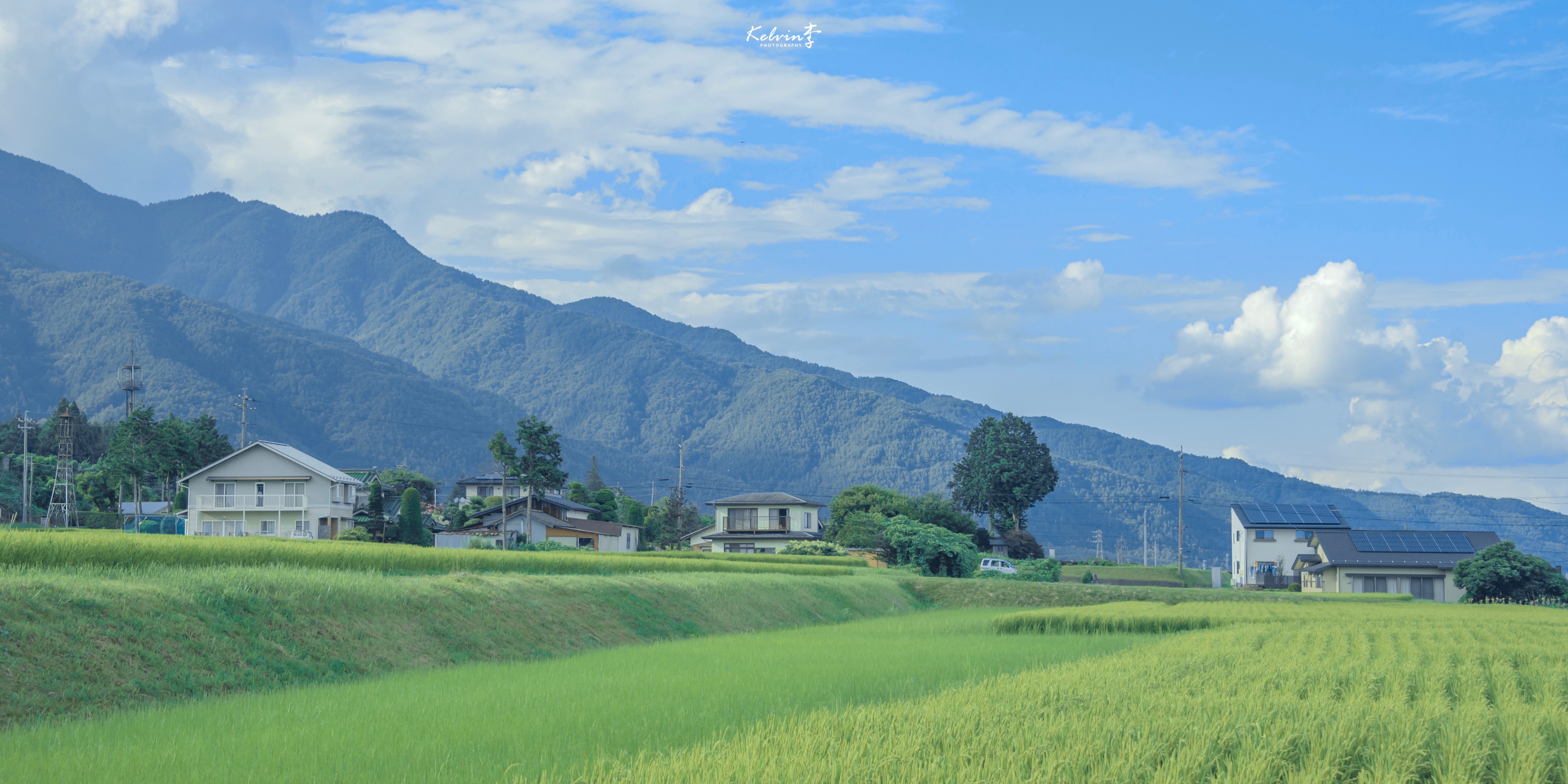 我可以录入、线上客服，时间充裕1