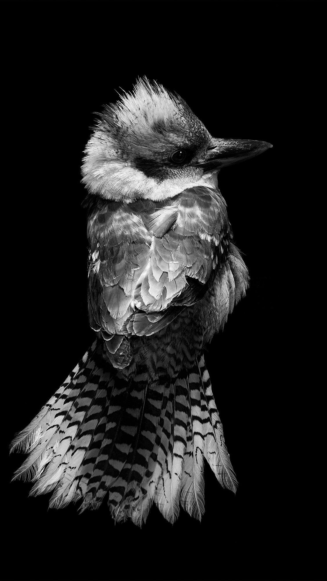 我可以做一份市场渠道运营法