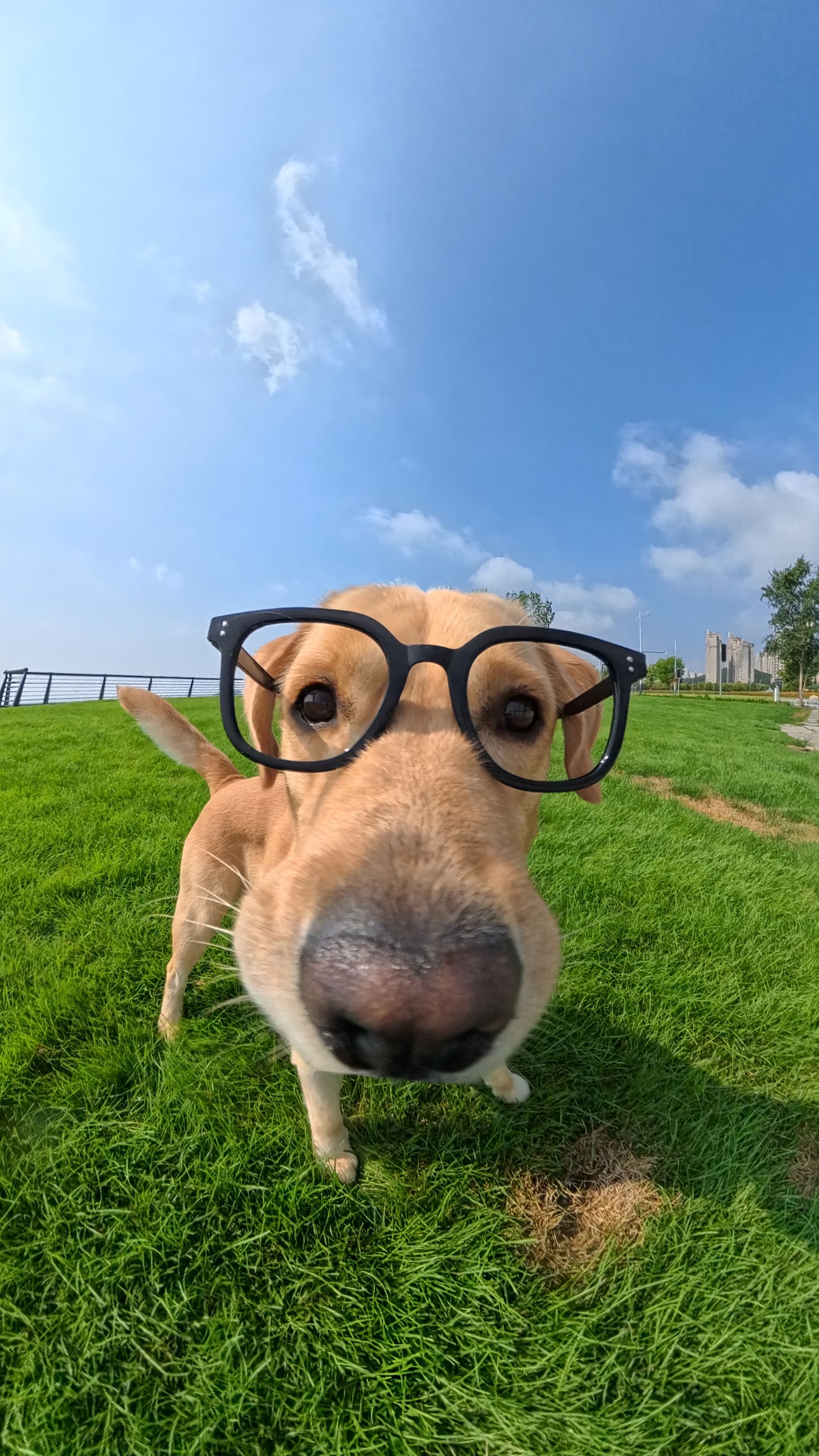 我可以短视频剪辑海报15秒视频