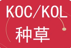 我可以链接全渠道KOL、KOC达人素人合作，5-7天内提供达人名单，支持2次修改