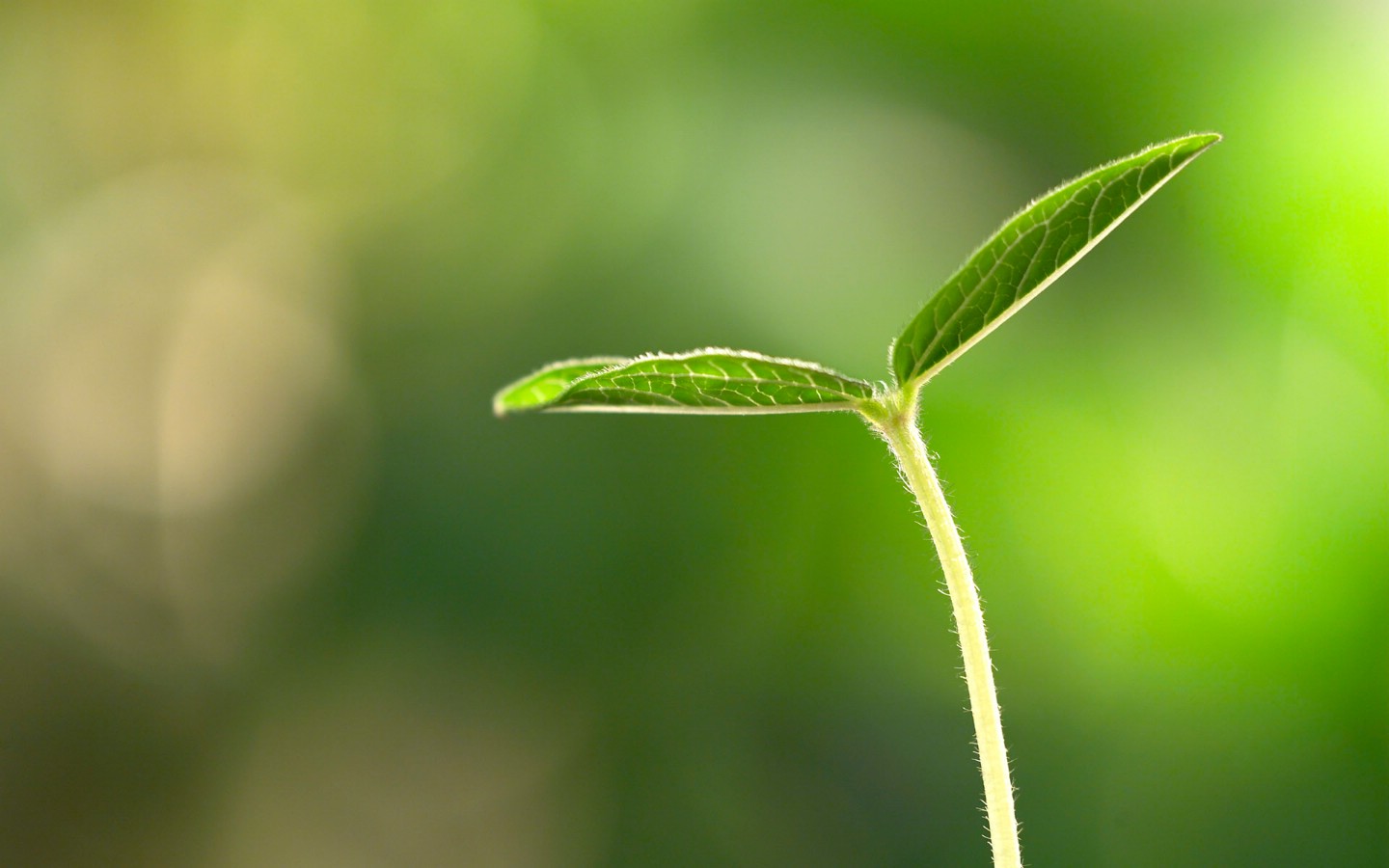 我可以60s音频剪辑、音频后期制作