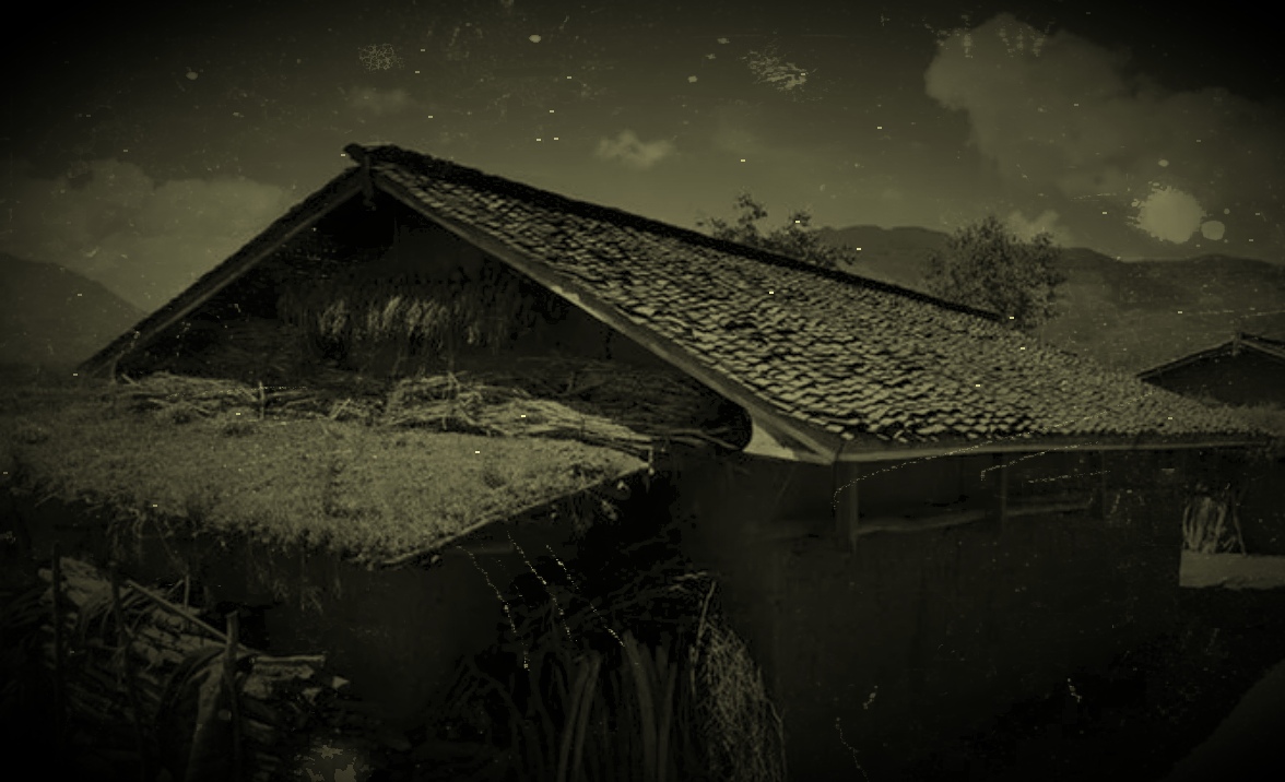 我可以帮你写你想要的文案以及文章800字起步